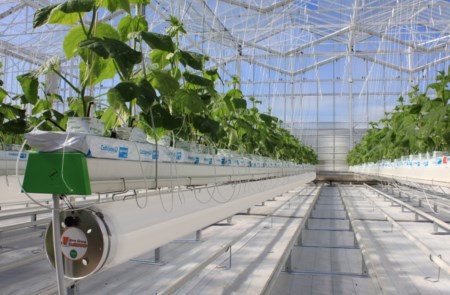 Greenhouse Air Solutions